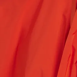 Red top with pussy bow