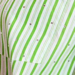 White and green striped cotton shirt with rhinestone embellishments