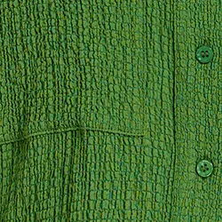 Dark green seersucker cropped shirt