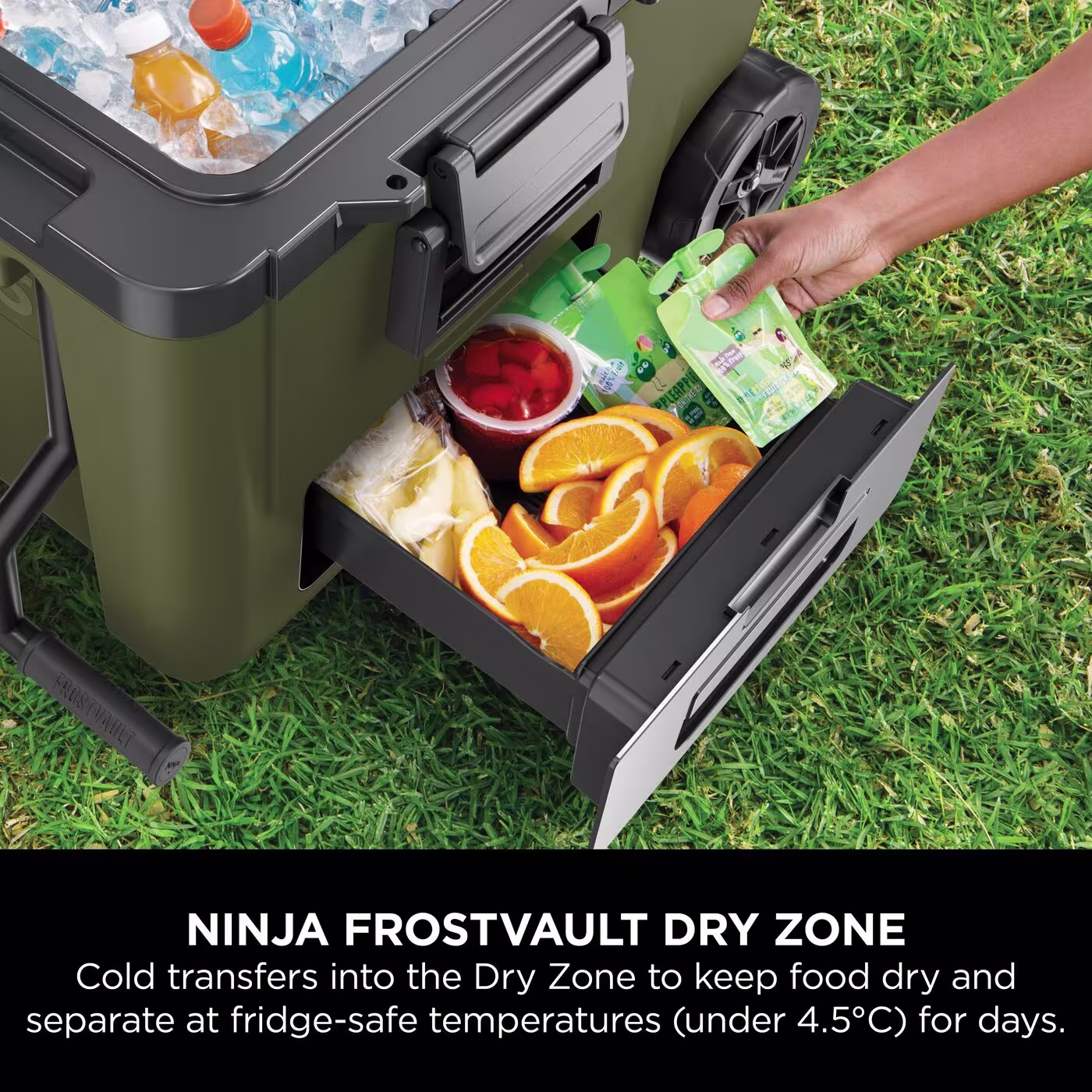 Ninja FrostVault 45QT/42L Wheeled Cooler with Dry Zone – Olive FB245EUUKDBGN