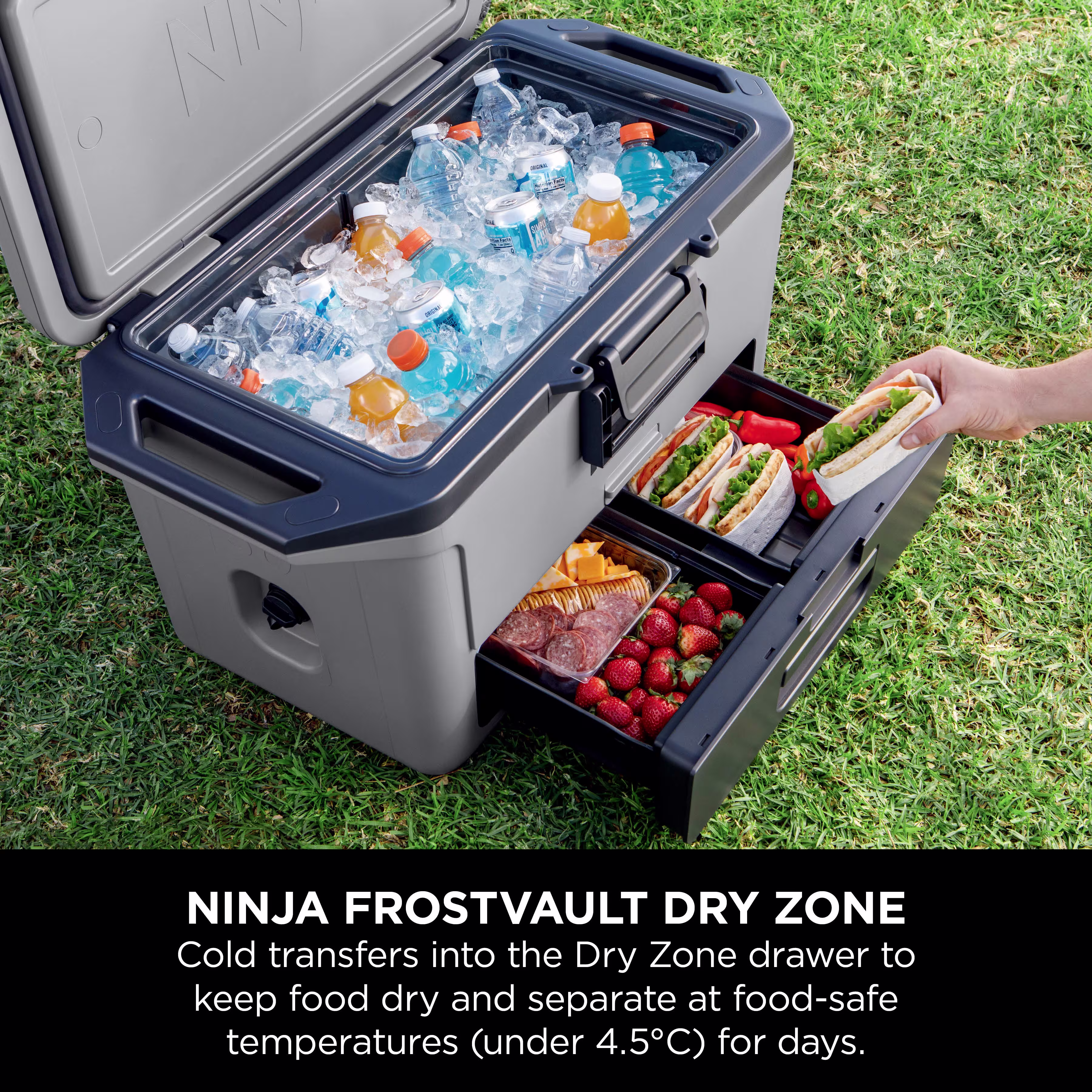 Ninja FrostVault 50QT/47L Cooler, Ice Pack & Thirsti Bottle Bundle