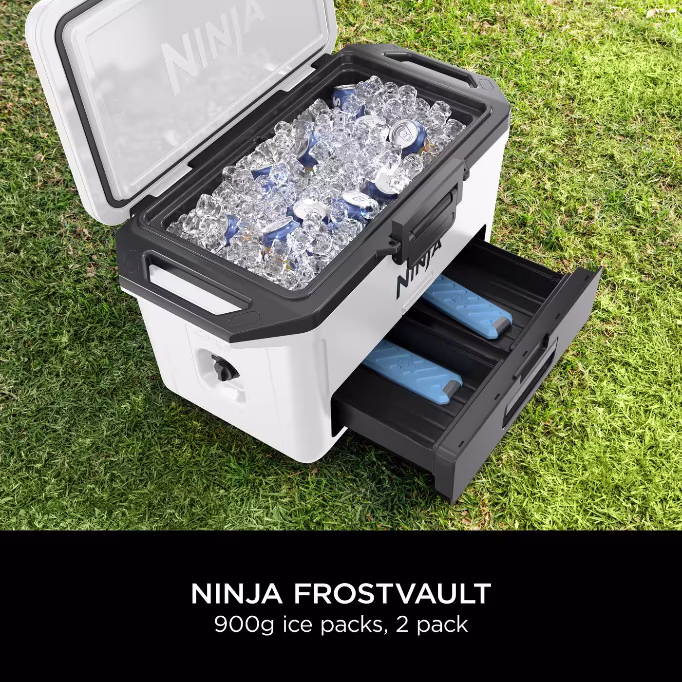 Ninja FrostVault Medium Ice Pack of 2