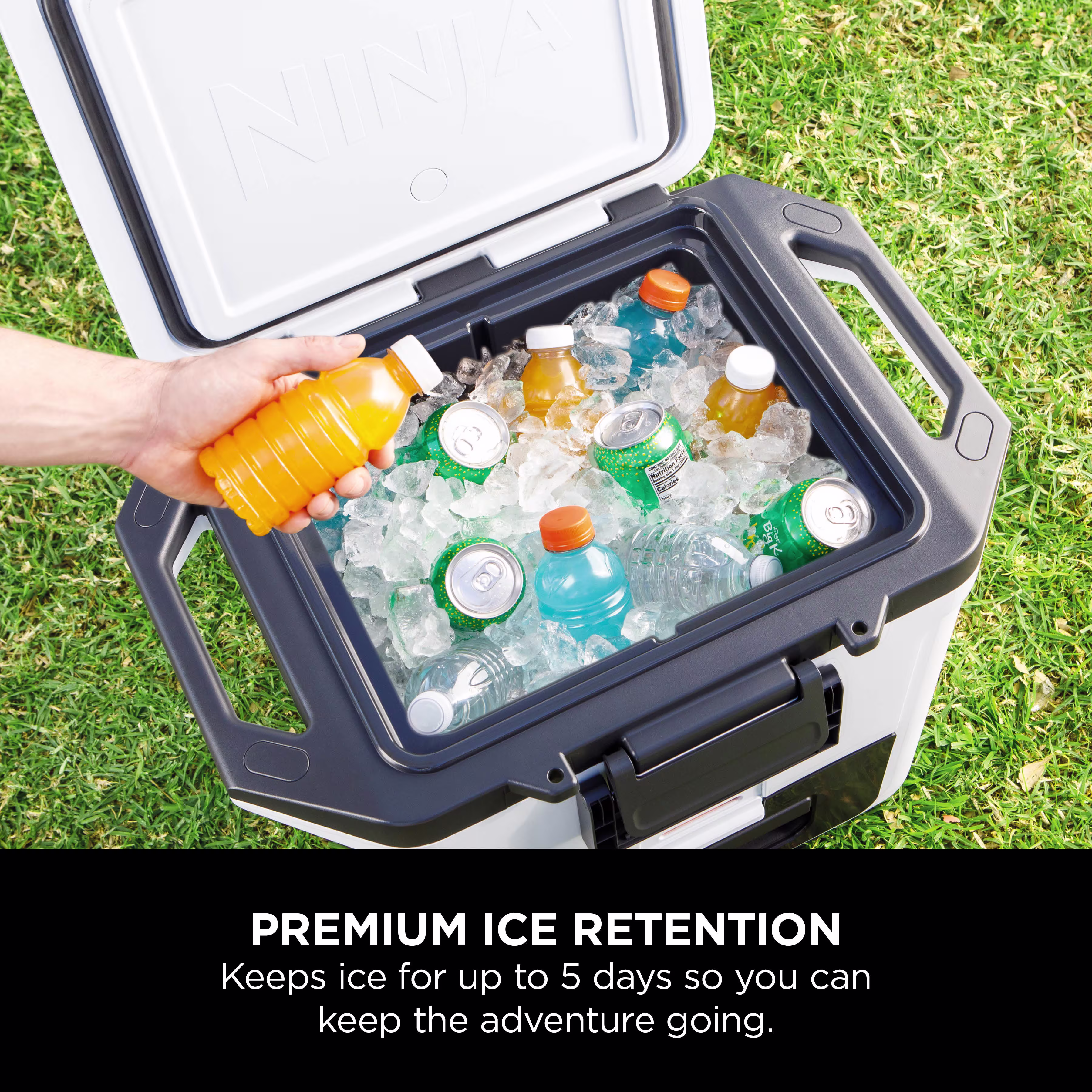 Ninja FrostVault 30QT/28L Hard Cooler - Cloud White FB131UKWH