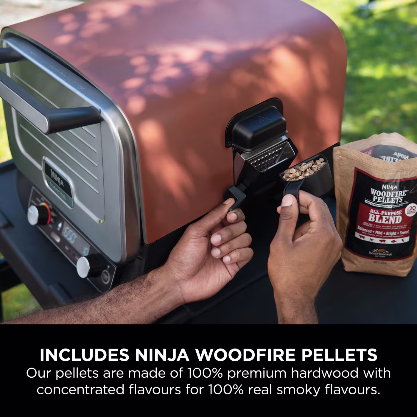 Ninja Woodfire Electric Outdoor Oven, Artisan Pizza Maker and BBQ Smoker OO101UK