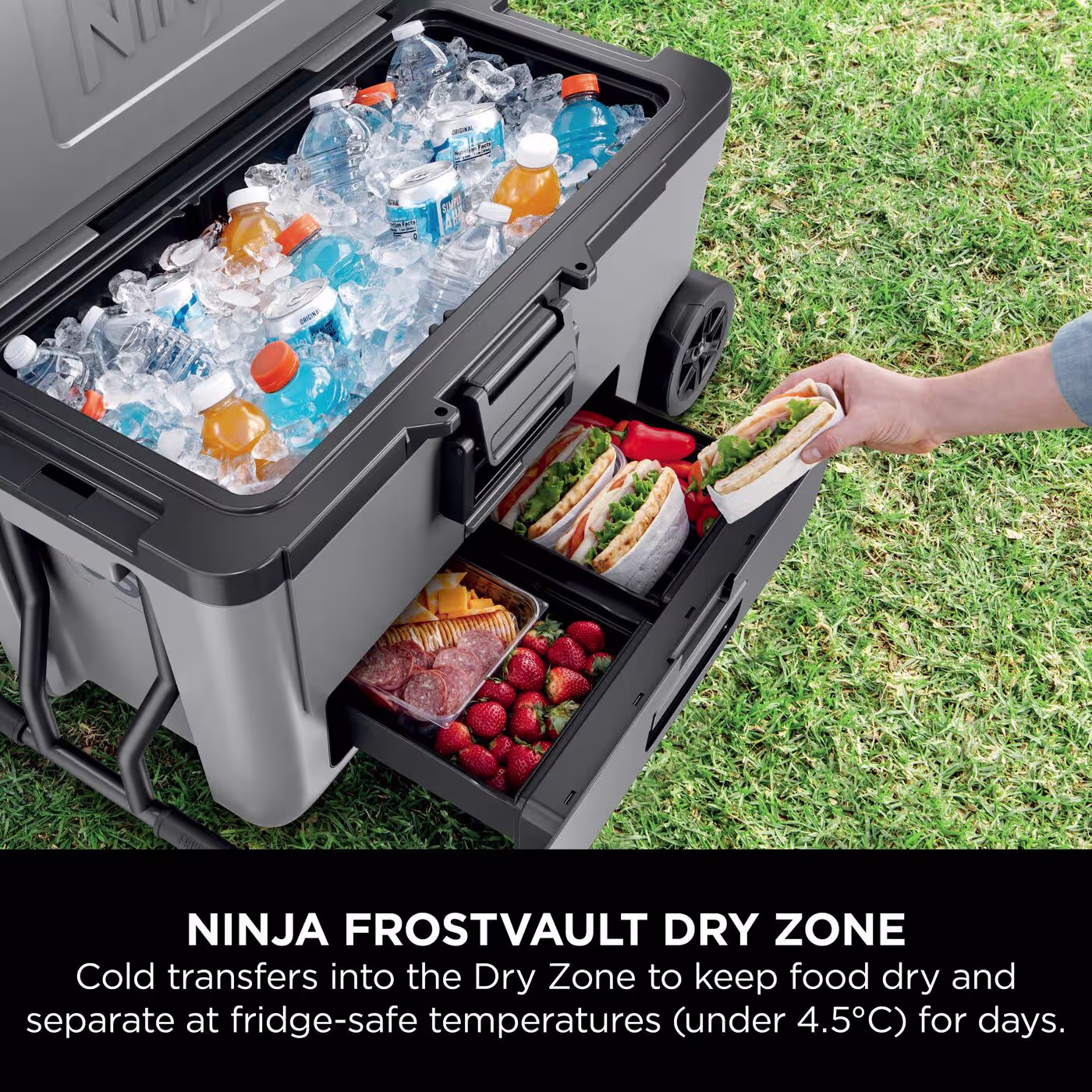 Ninja FrostVault 65QT/61L Wheeled Cooler with Dry Zone, Slate Grey FB265EUUKGY