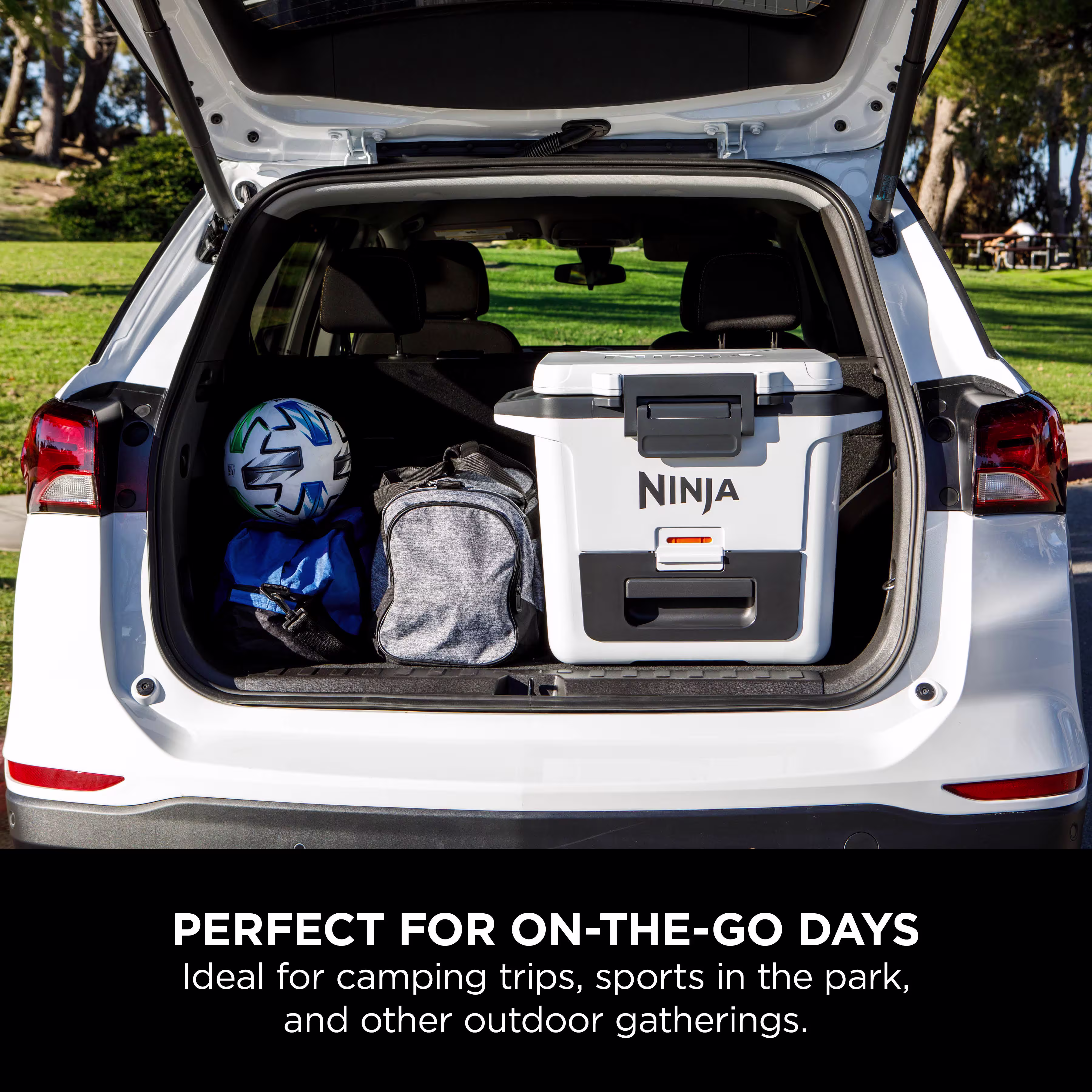 Ninja FrostVault 30QT/28L Hard Cooler - Cloud White FB131UKWH