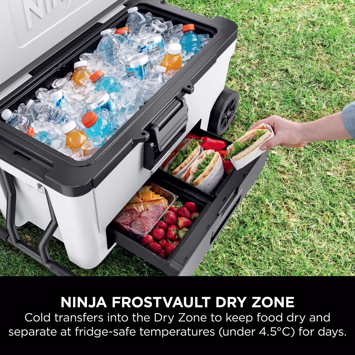 Ninja FrostVault 65QT/61L Wheeled Cooler with Dry Zone, Cloud White FB265EUUKWH