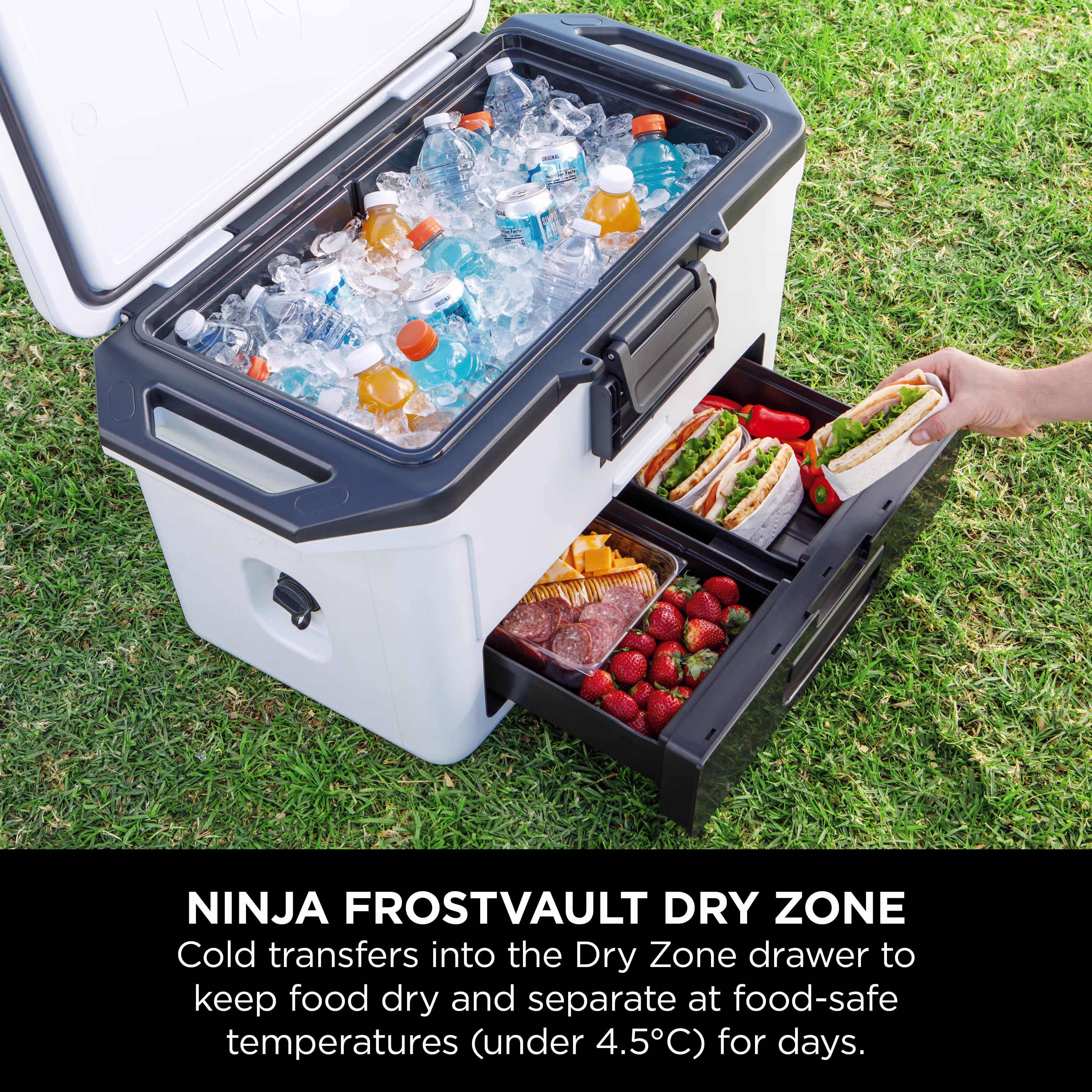 Ninja FrostVault 50QT/47L Hard Cooler - Cloud White FB151UKWH