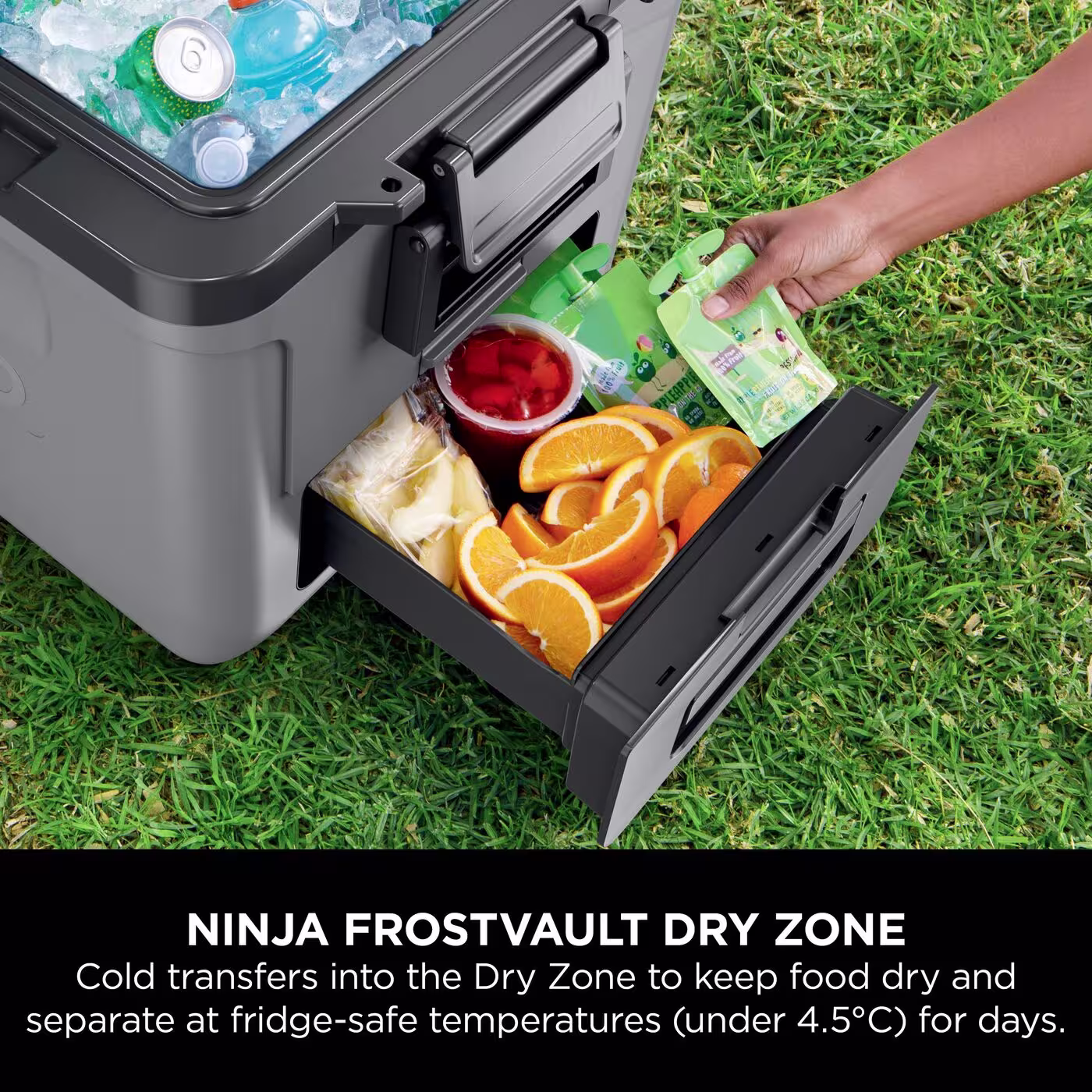 Ninja FrostVault 30QT/28L Wheeled Cooler with Dry Zone, Slate Grey FB230UKGY