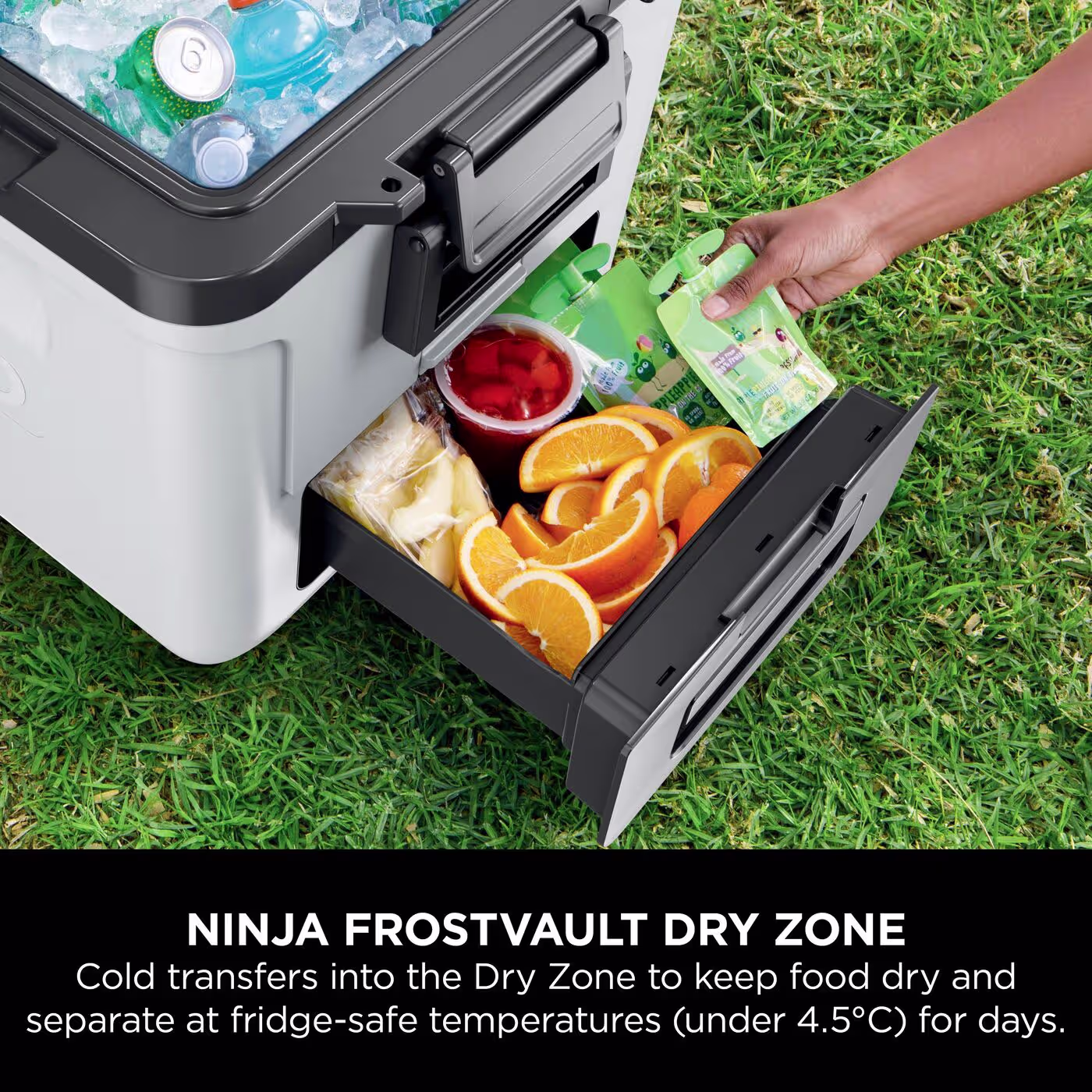 Ninja FrostVault 30QT/28L Wheeled Cooler with Dry Zone, Cloud White FB230UKWH