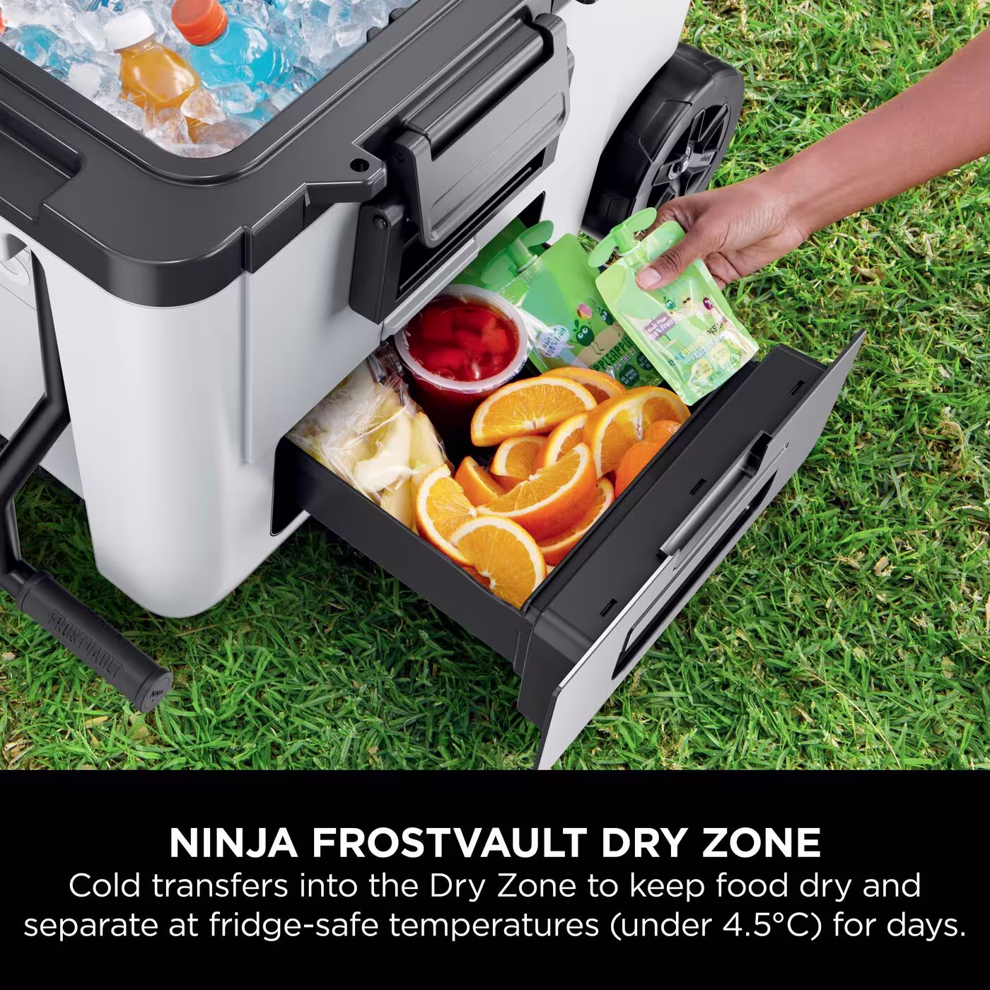 Ninja FrostVault 45QT/42L Wheeled Cooler, Ice Pack & Thirsti Bottle Bundle