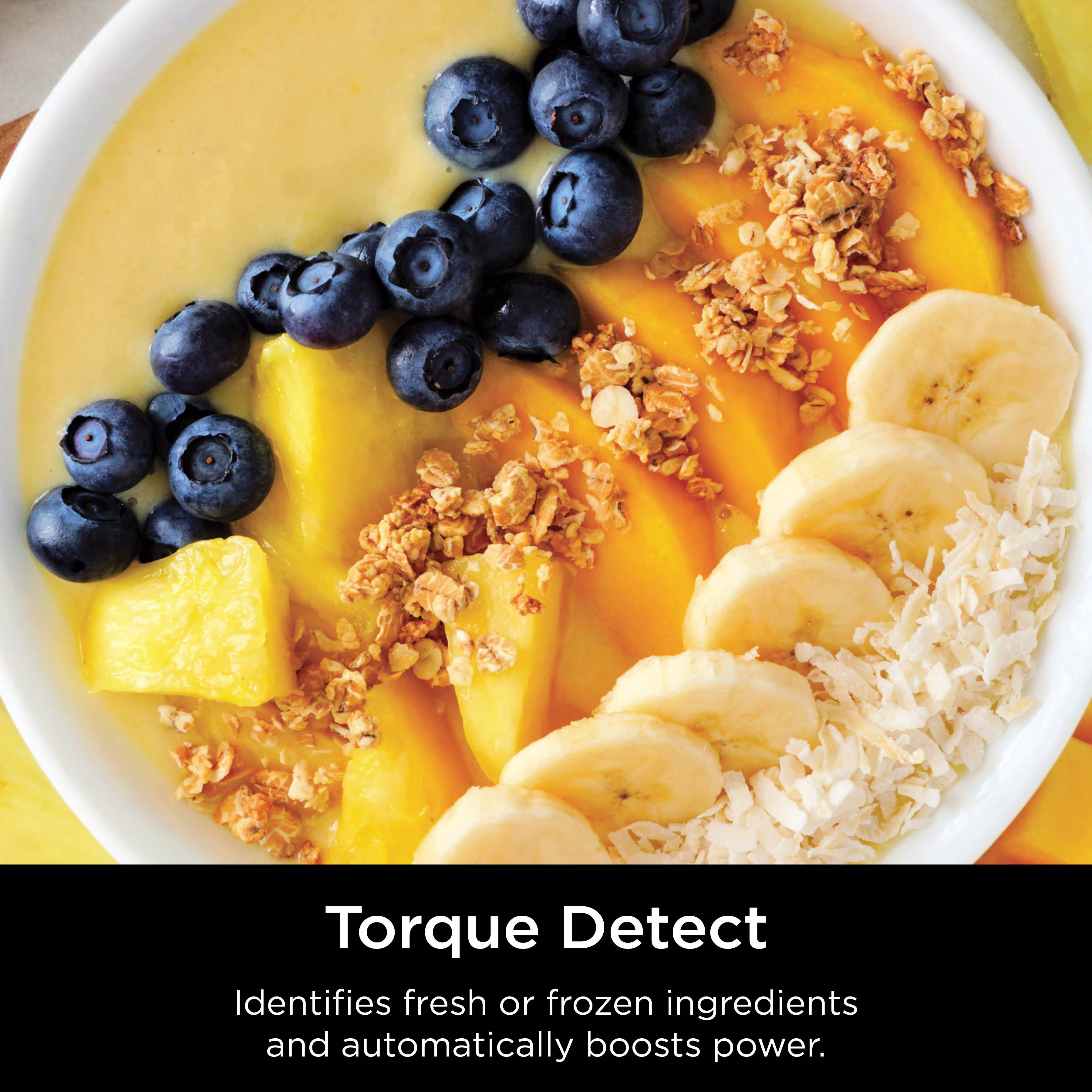 Ninja Detect Blender Pro TB201UK