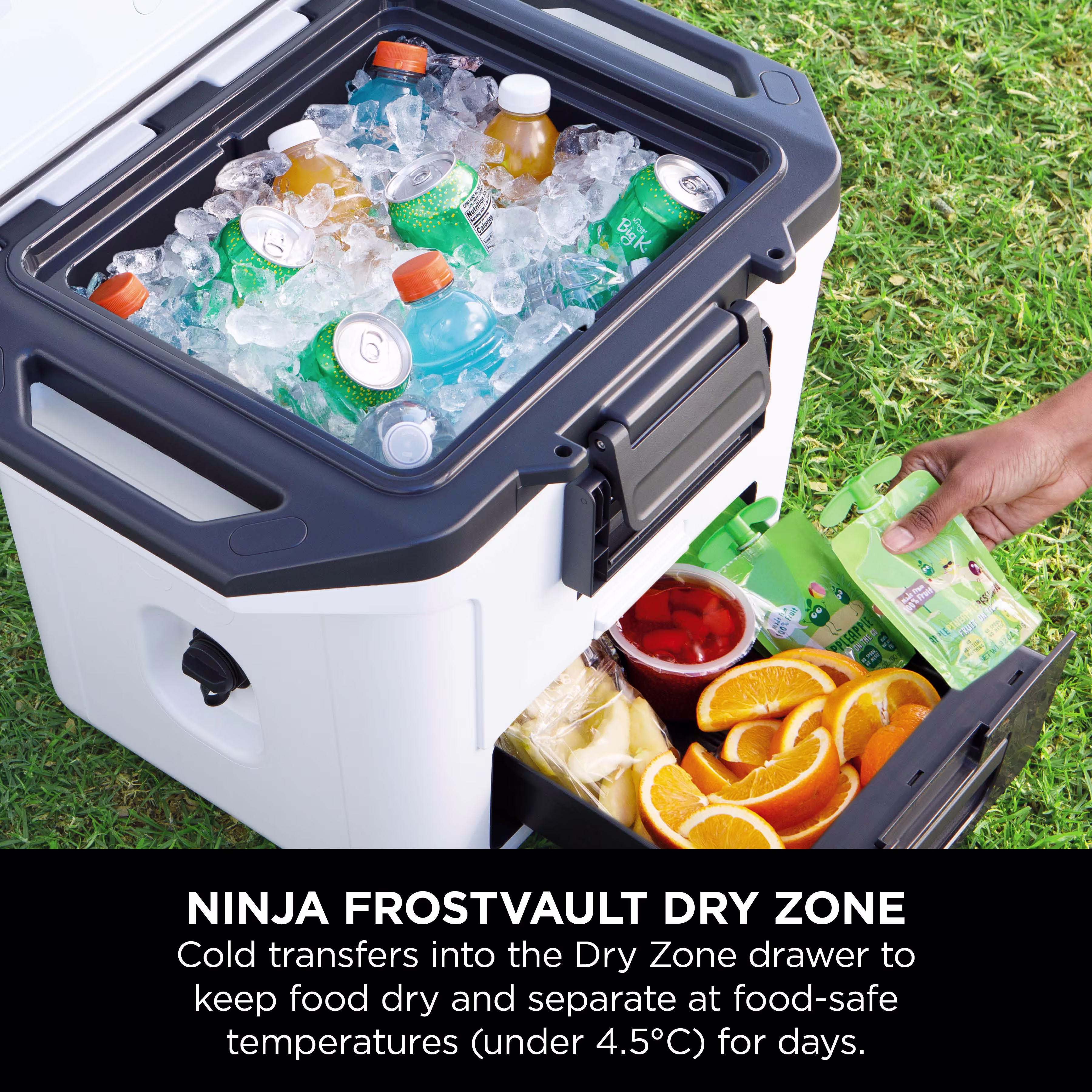 Ninja FrostVault 30QT/28L Cooler, Ice Pack & Thirsti Bottle Bundle