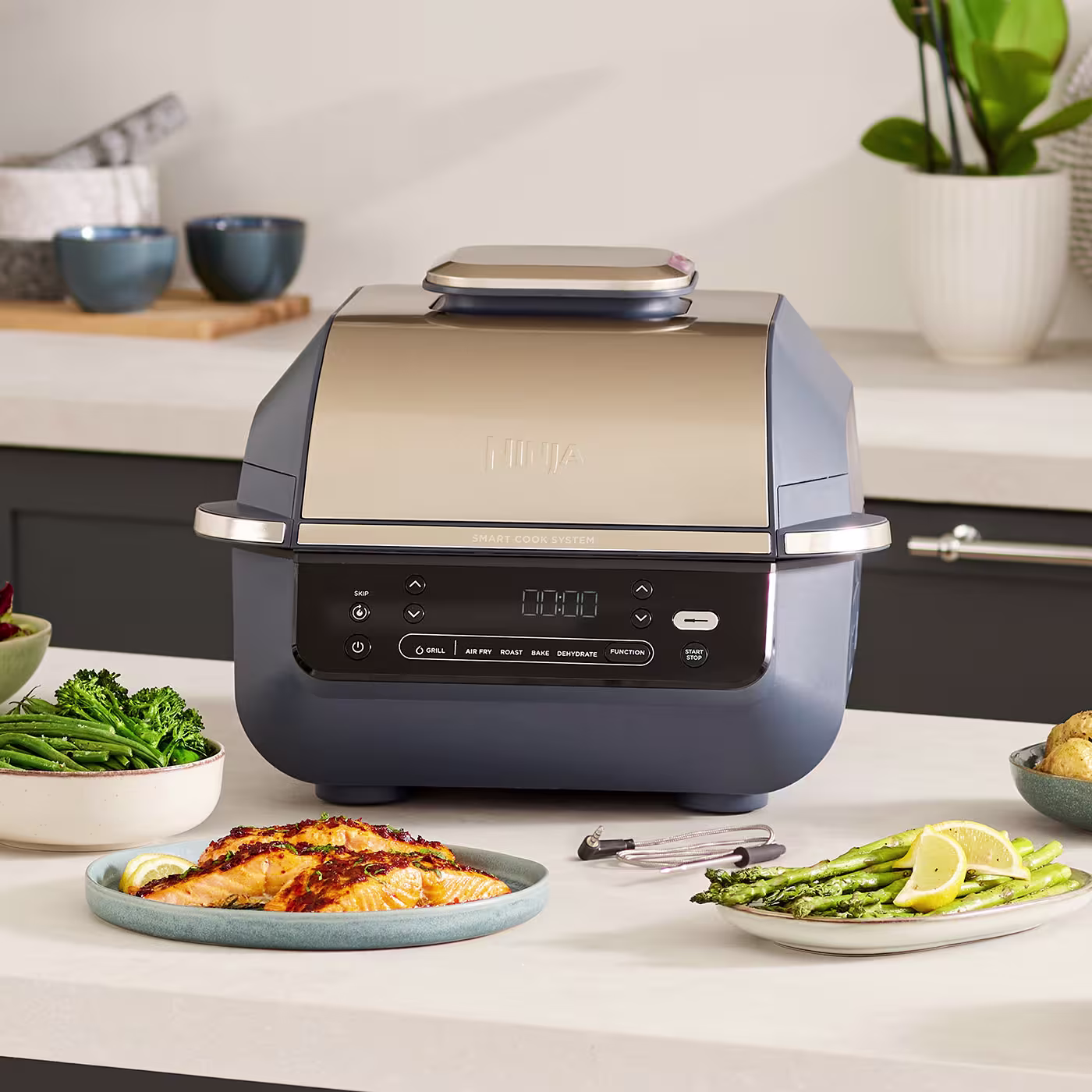 Ninja 5-in-1 Grill & Air Fryer - Cyber Space EG351UKCYD