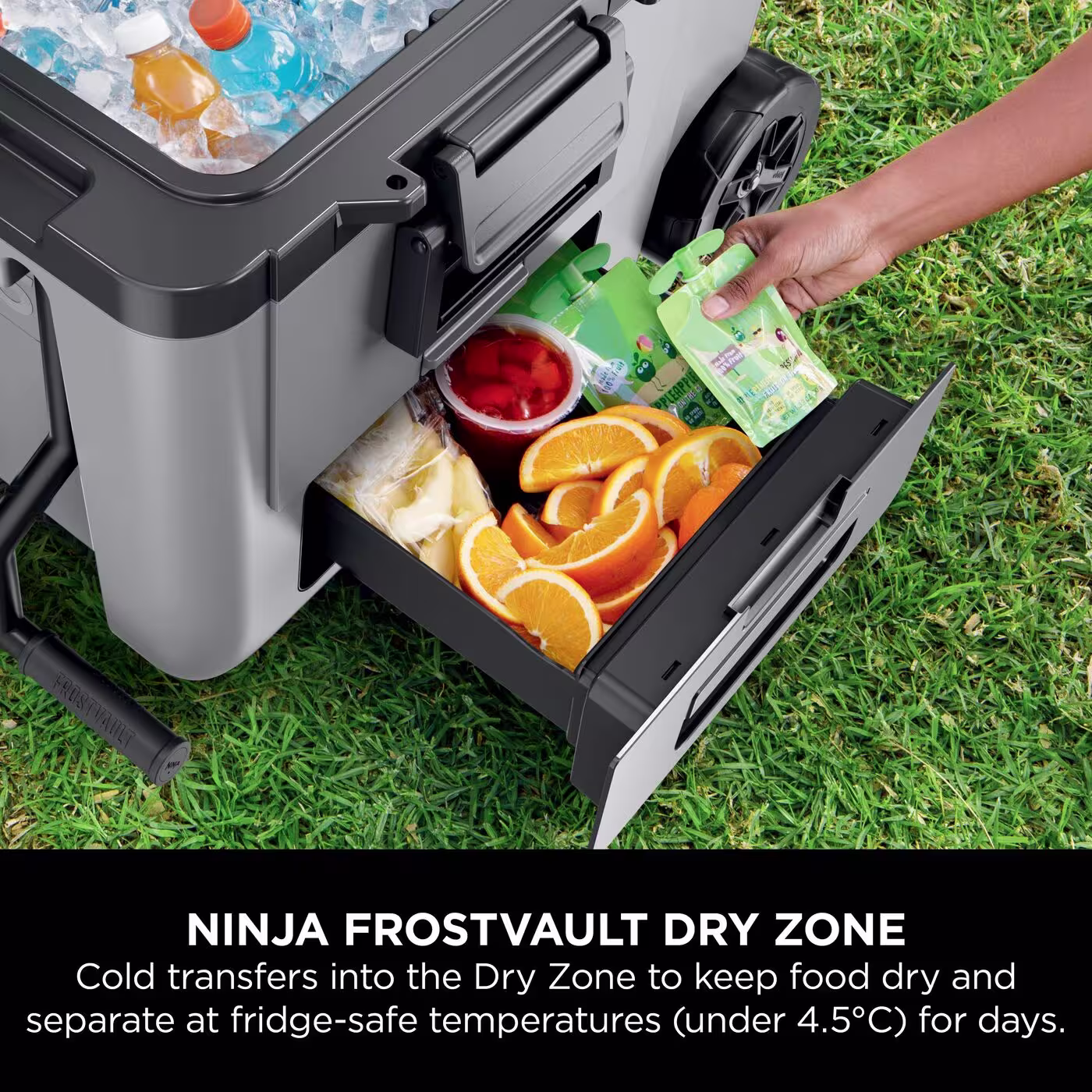 Ninja FrostVault 45QT/42L Wheeled Cooler with Dry Zone, Slate Grey FB245UKGY