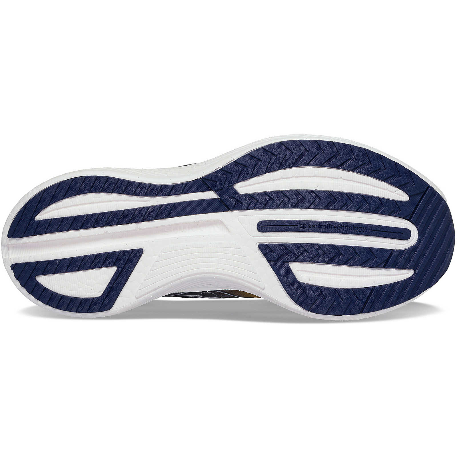 VIZIPRO Endorphin Speed 3