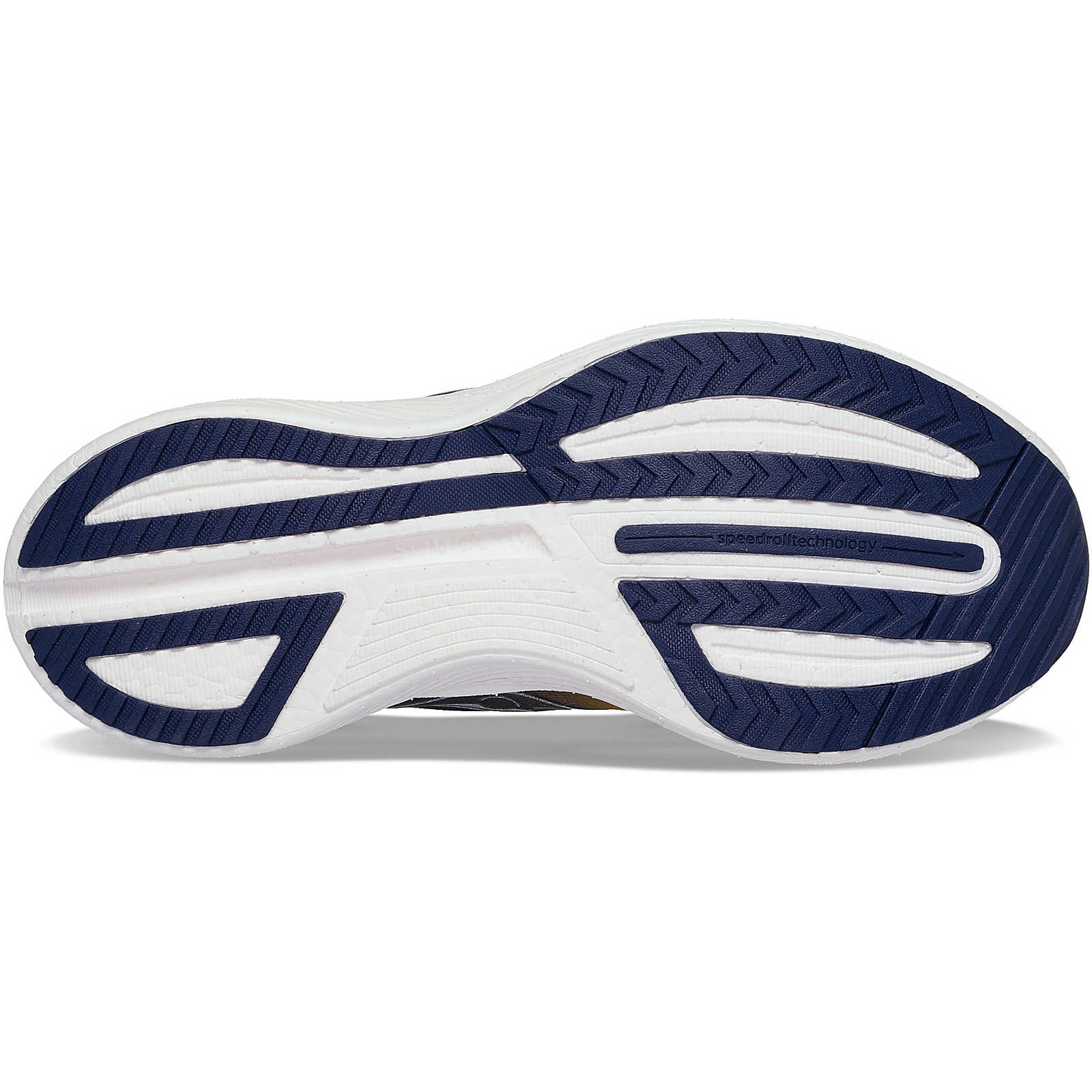 VIZIPRO Endorphin Speed 3