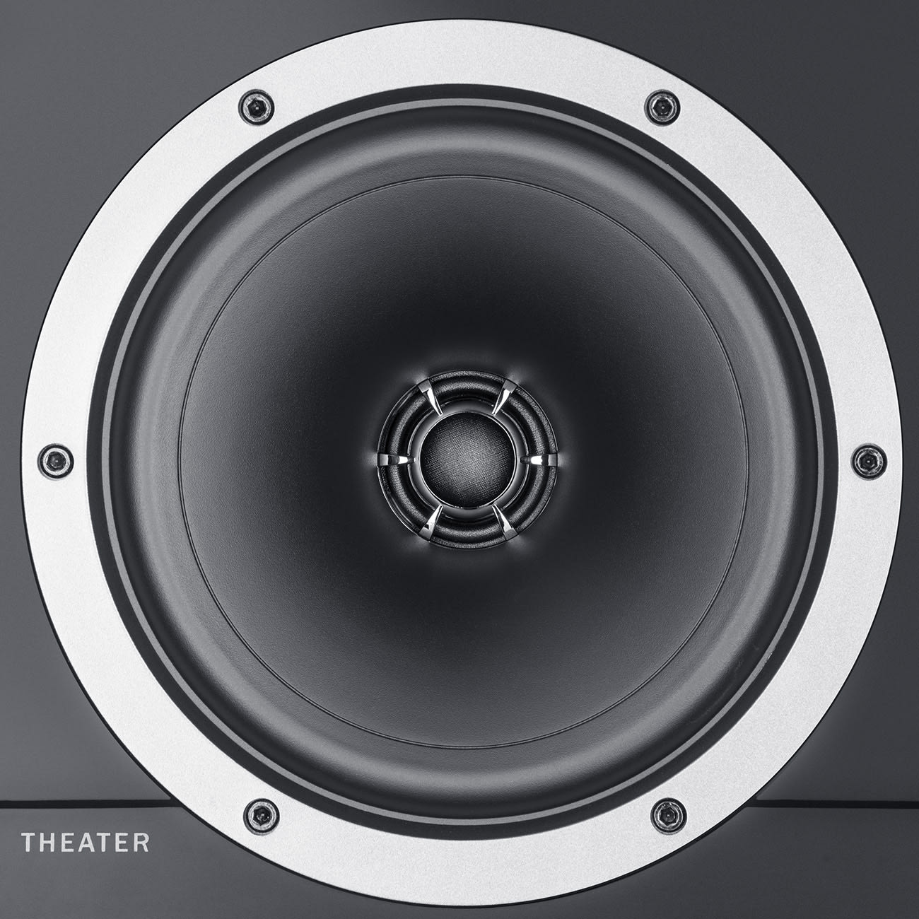 THEATER 500S KOMBO 2 A good KOMBO: two THEATER 500S speakers and a reciever
