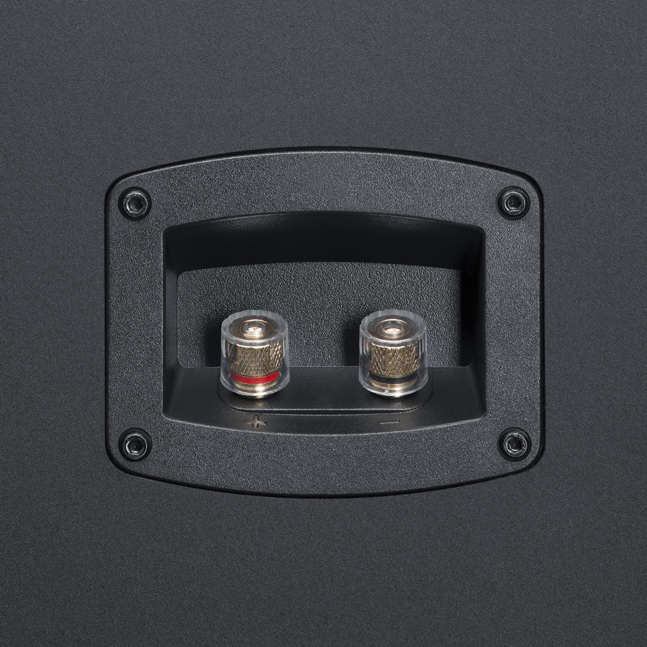 THEATER 500S KOMBO 2 A good KOMBO: two THEATER 500S speakers and a reciever