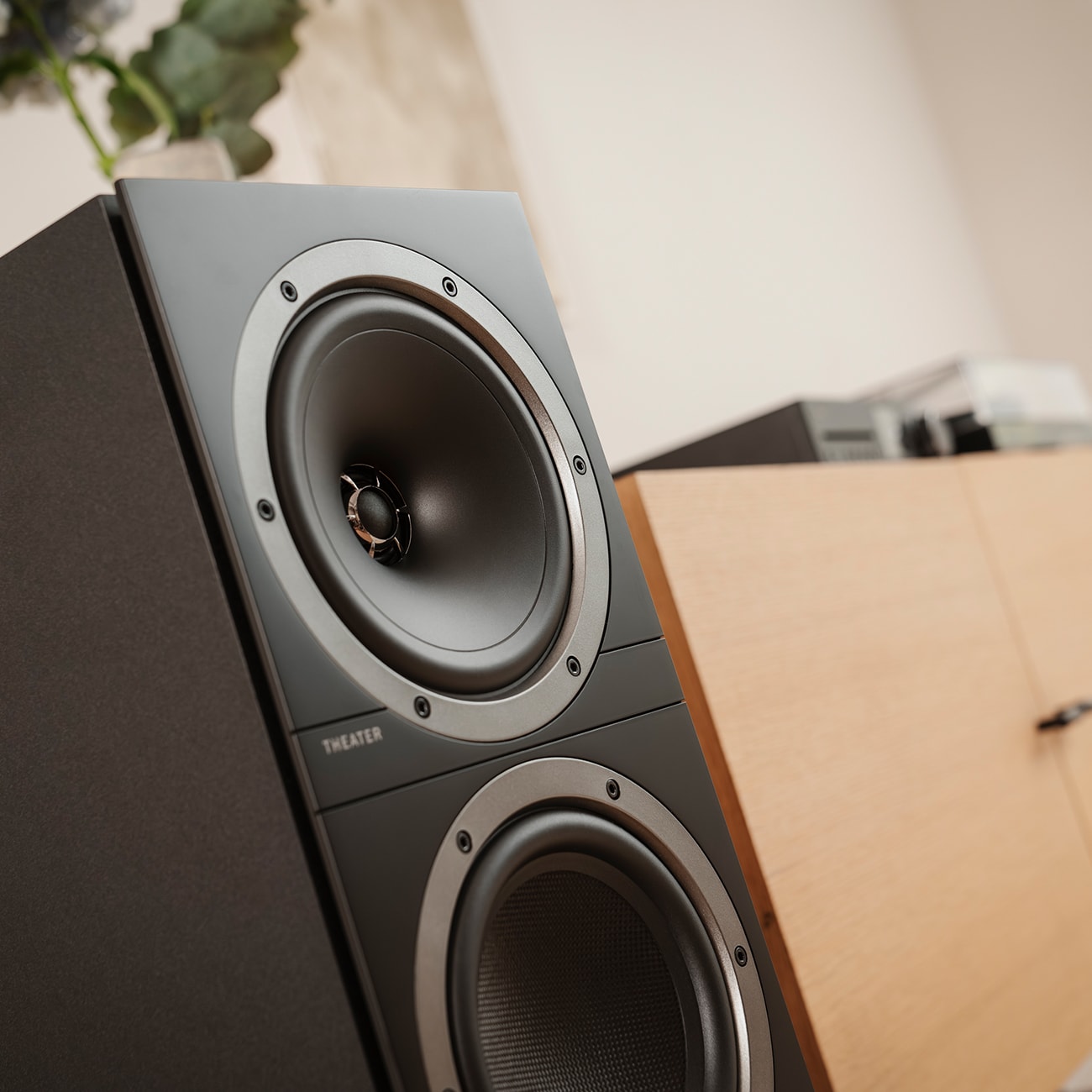 THEATER 500 KOMBO 2 A good KOMBO: two THEATER 500 speakers and a reciever