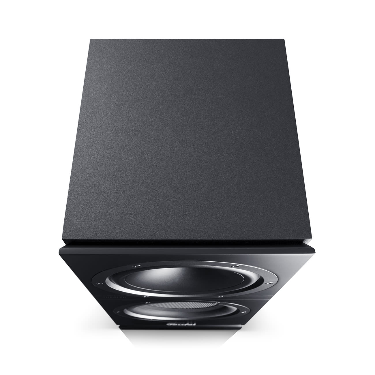 THEATER 500S KOMBO 2 A good KOMBO: two THEATER 500S speakers and a reciever