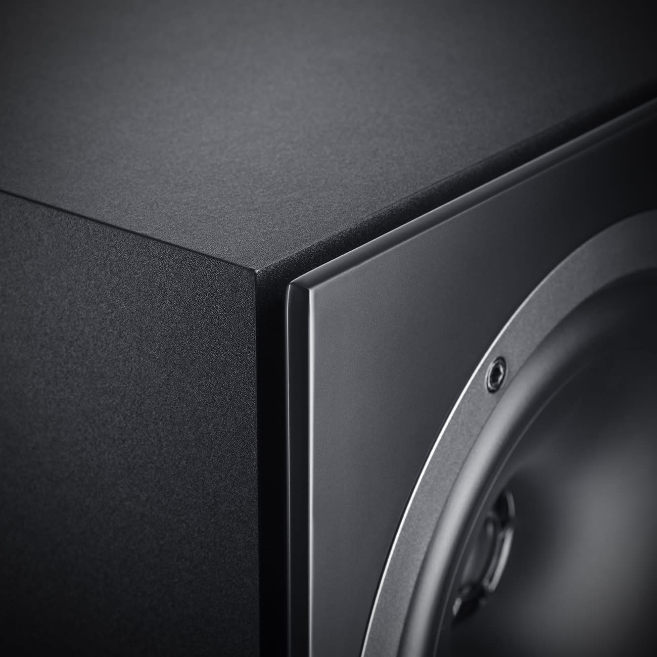 THEATER 500S KOMBO 2 A good KOMBO: two THEATER 500S speakers and a reciever