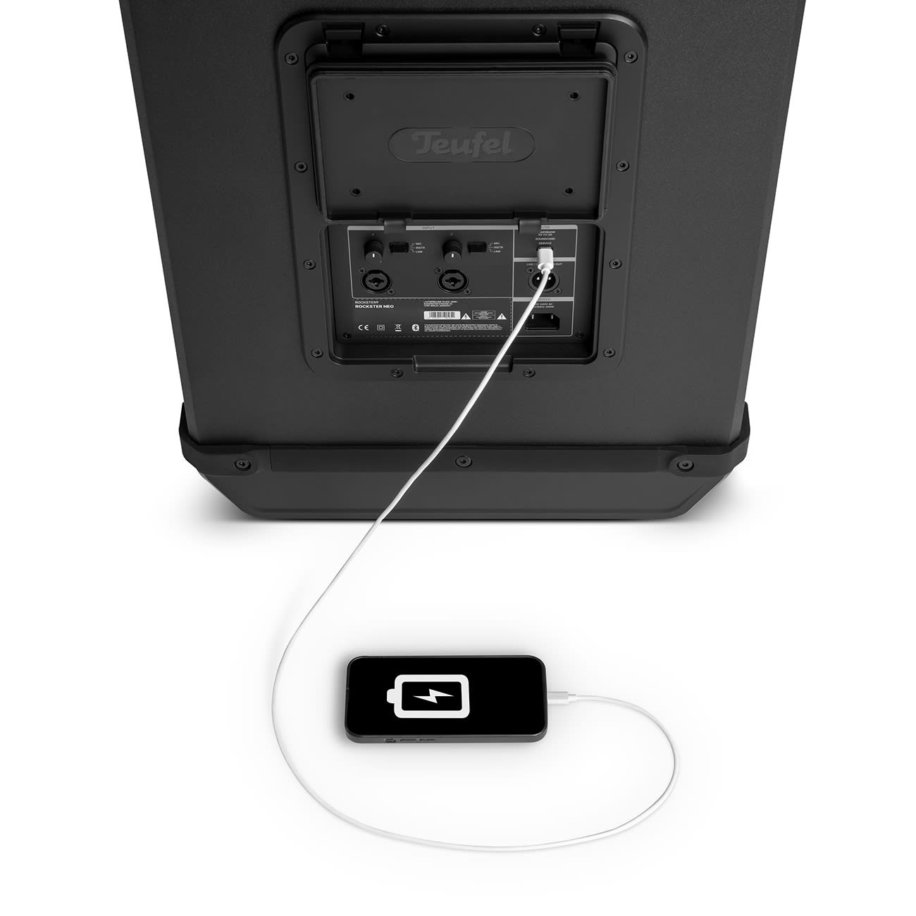 ROCKSTER NEO + Shure PGA58 Wild times redefined