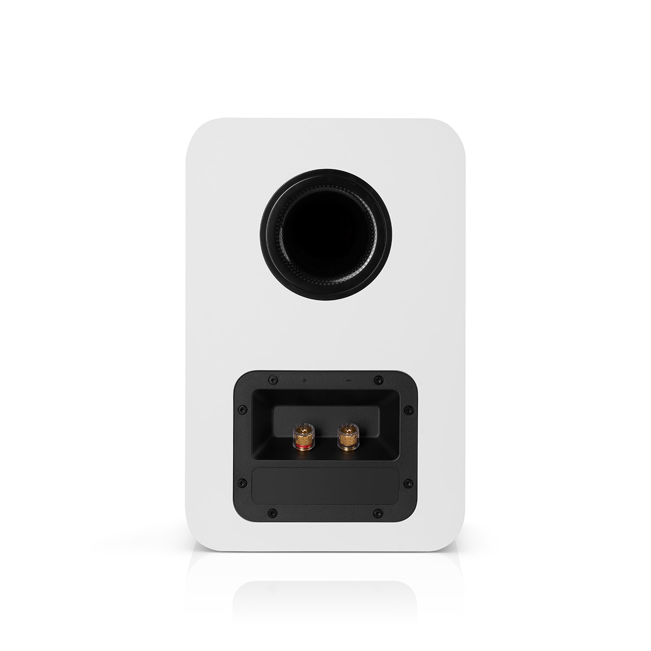 ULTIMA 20 Surround + Yamaha RX-V4A 