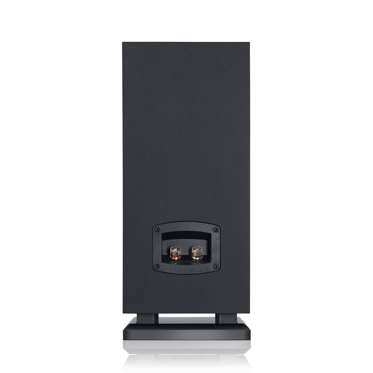 THEATER 500S KOMBO 2 A good KOMBO: two THEATER 500S speakers and a reciever