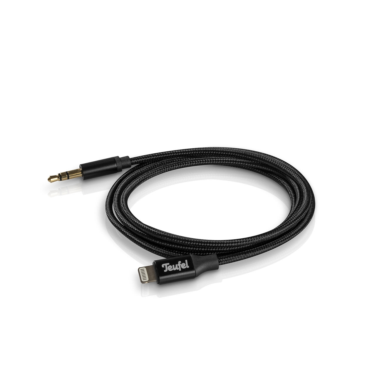 Lightning/AUX cable