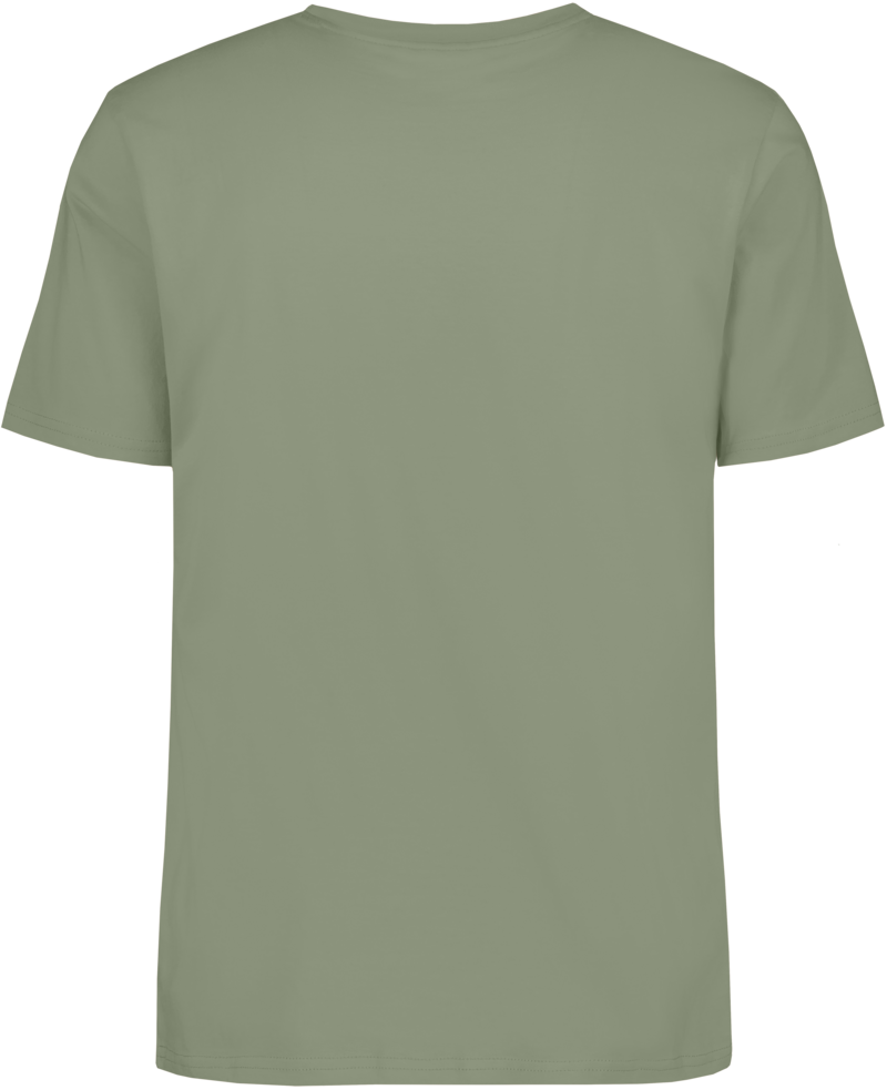 Harald T-shirt Didriksons