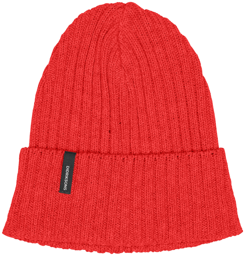 Delmar Beanie