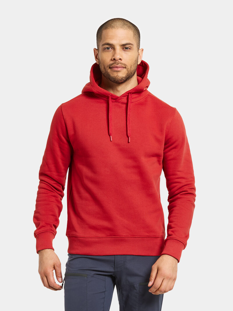 Ven Men's Hoodie