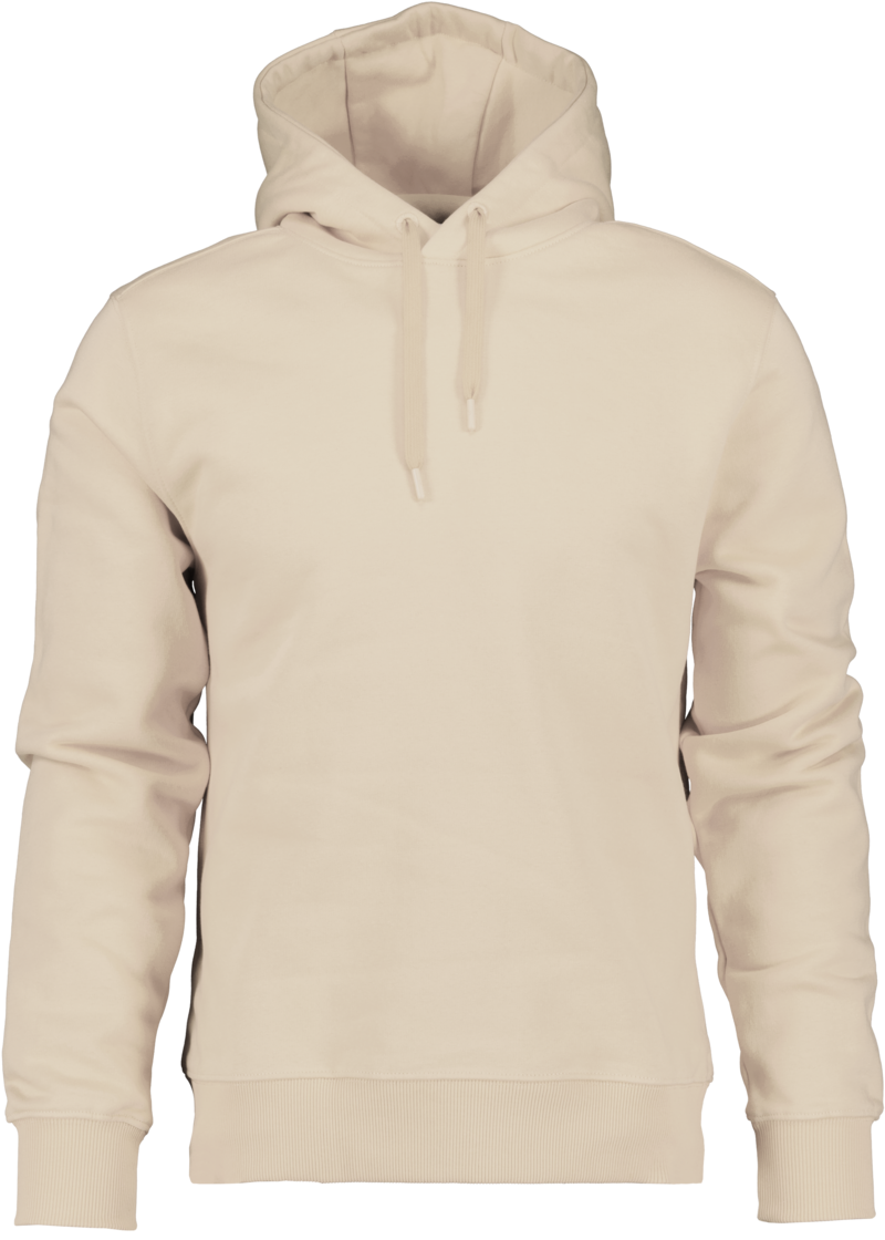 Ven Men's Hoodie
