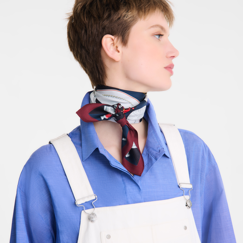 Palette d'Artiste Silk scarf 70 Pomegranate - Silk