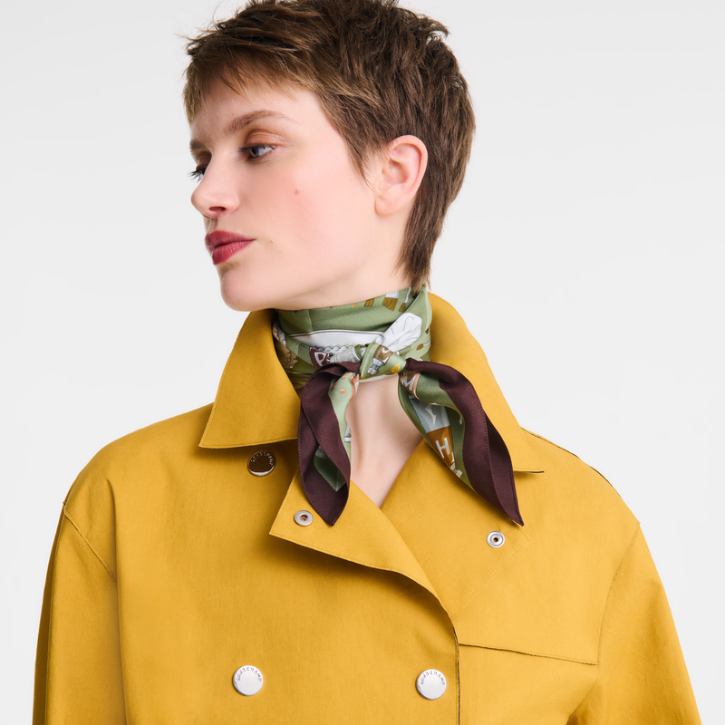 Palette d'Artiste Silk scarf 70 Ebony - Silk