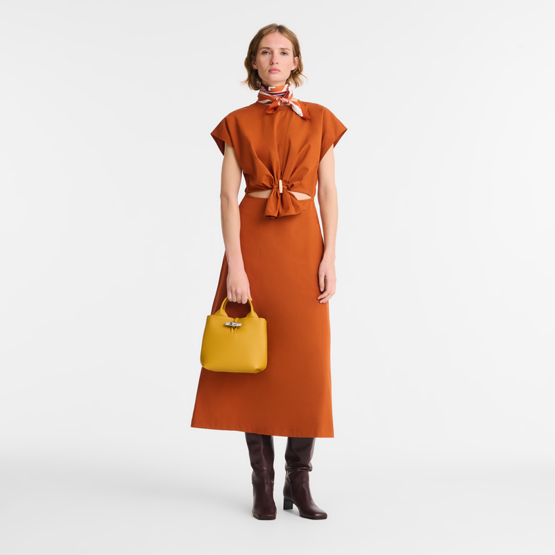 Le Roseau S Handbag Nutmeg - Leather