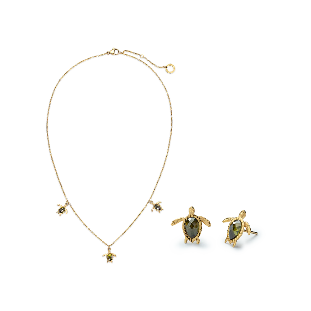 Set Turtle Gold