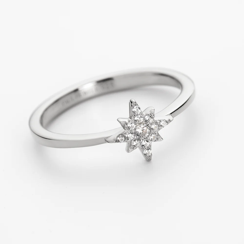 Windrose Mono Ring Silver