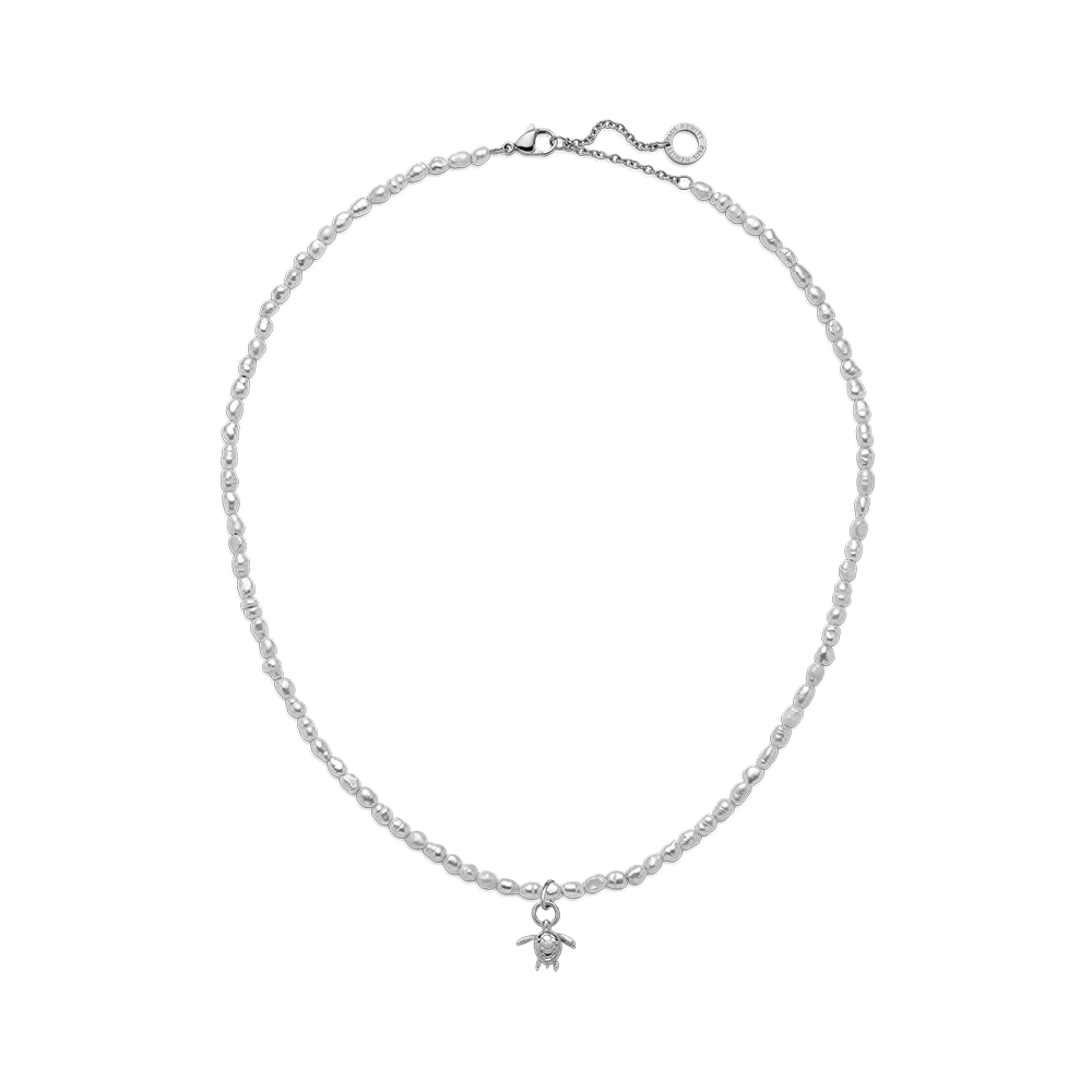 Set Turtle Charm and Necklace Silver