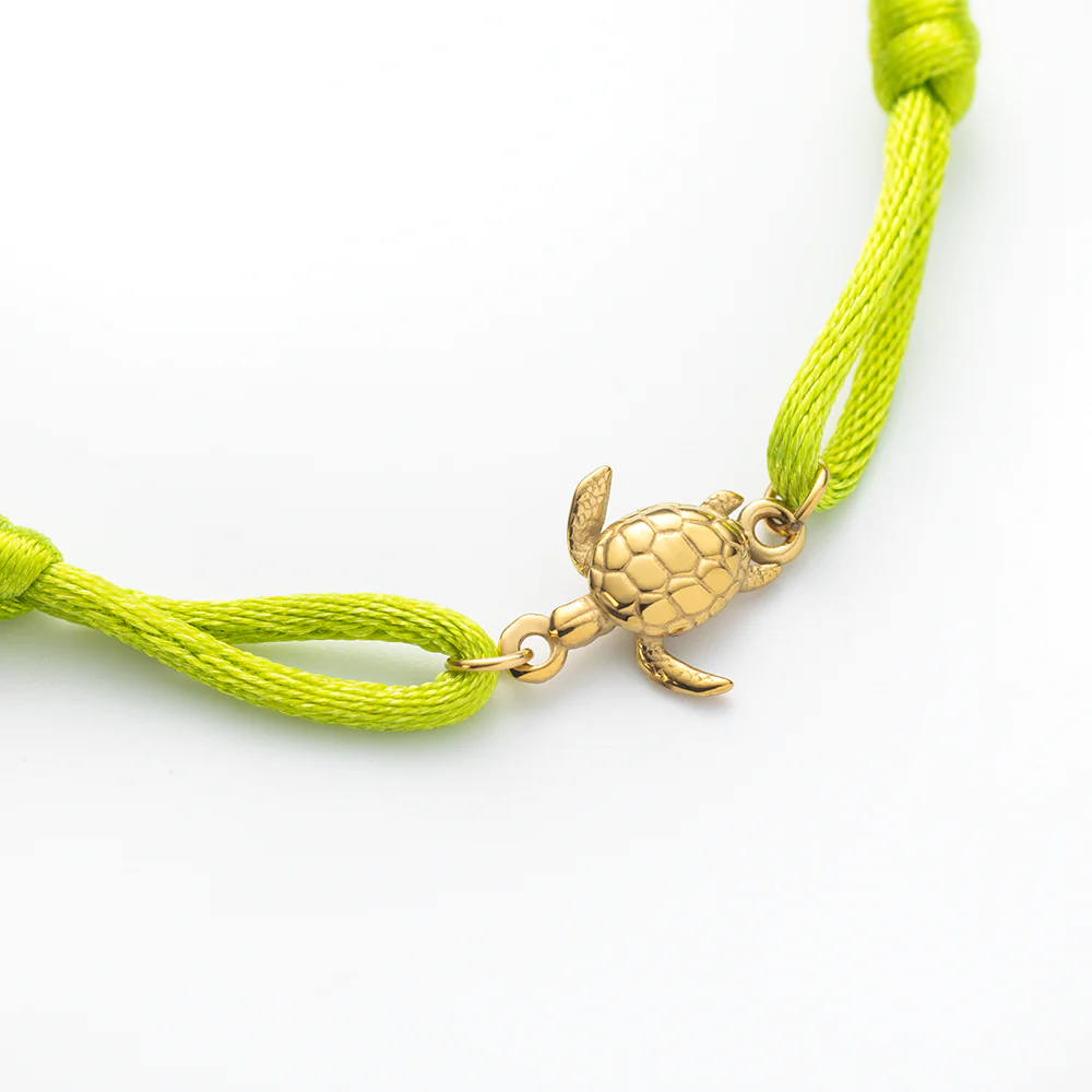 Turtle Band Seaweed Green