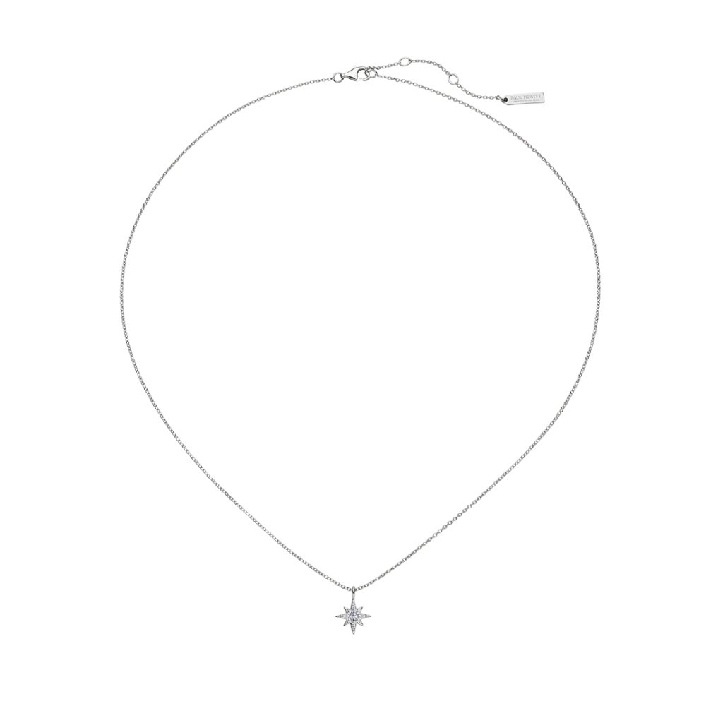 Windrose Mono Necklace Silver