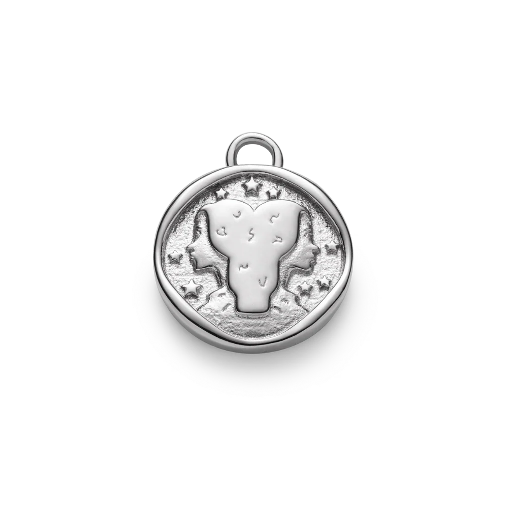 Gemini Charm Silver