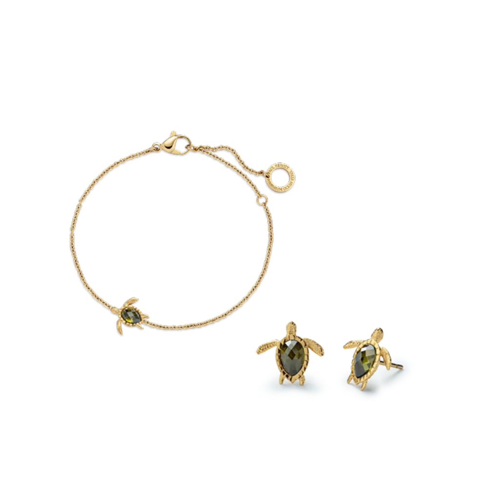 Set Turtle V Gold