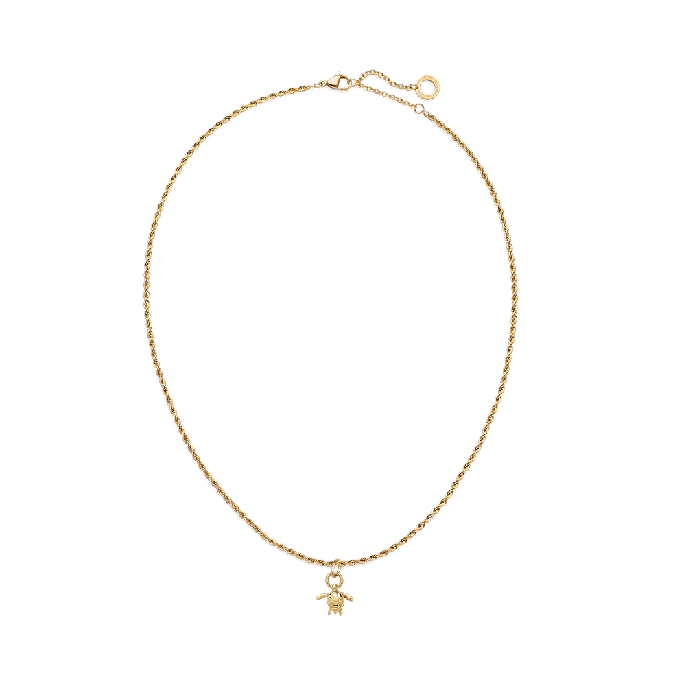 Set Turtle Charm and Necklace Gold