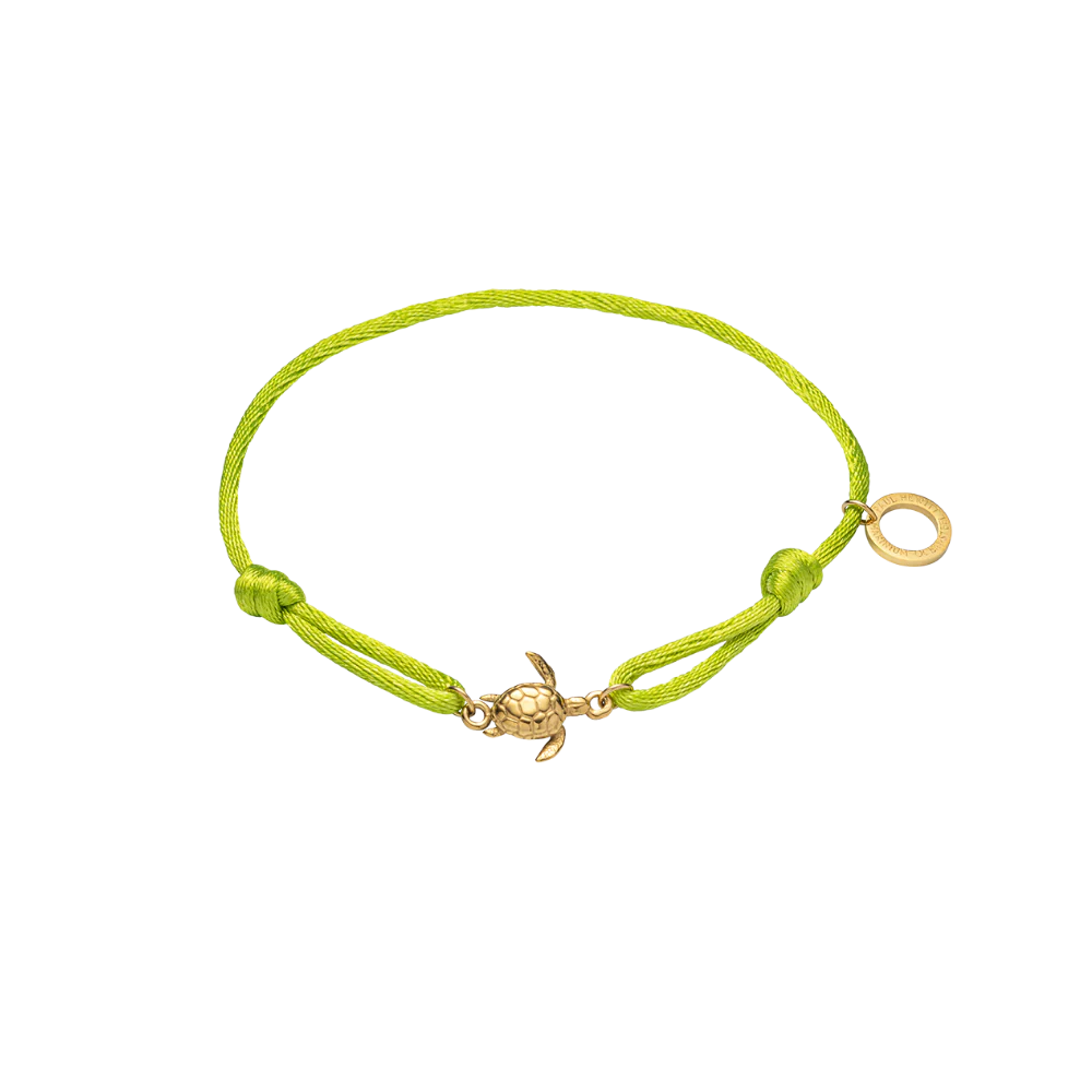 Turtle Band Seaweed Green