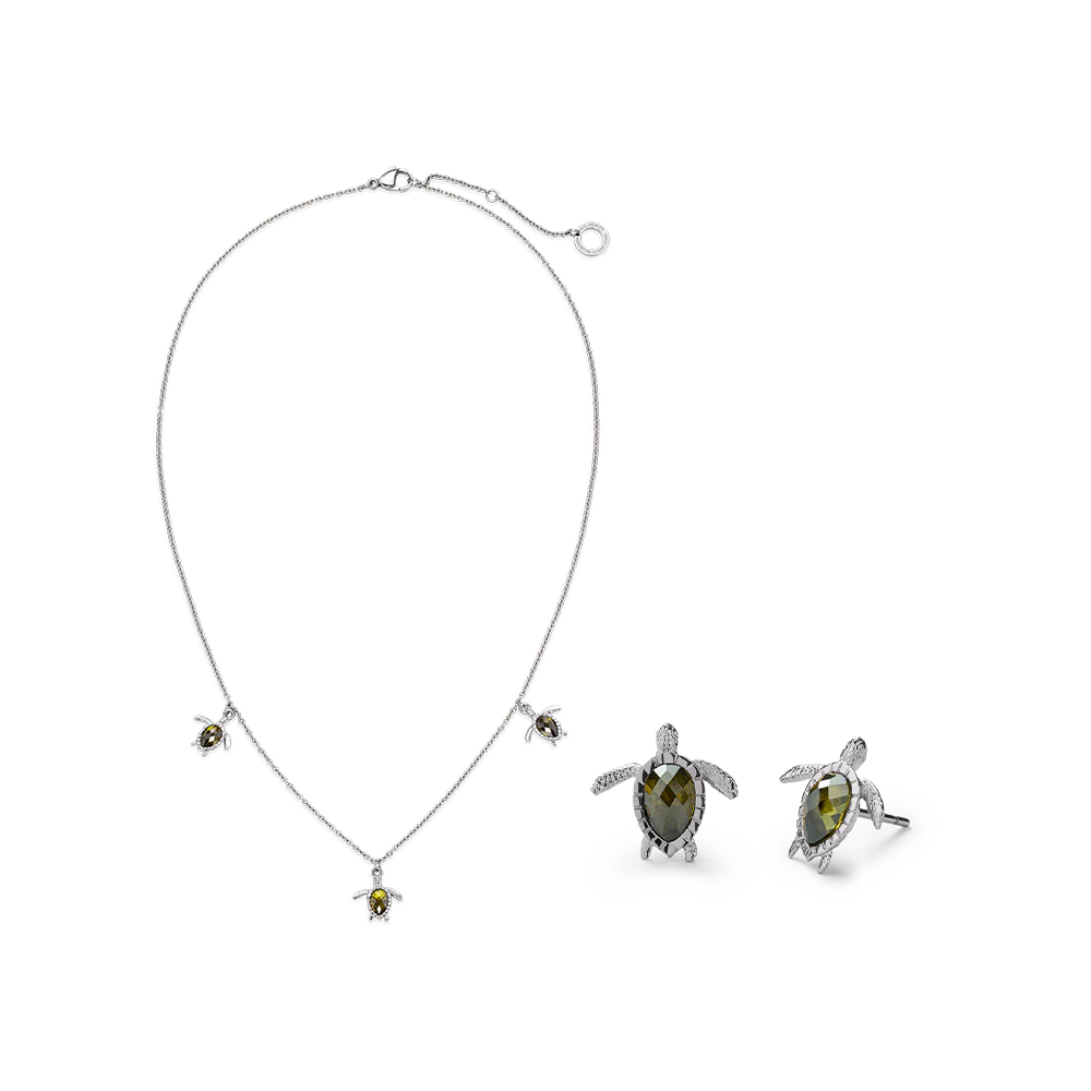 Set Turtle Silver