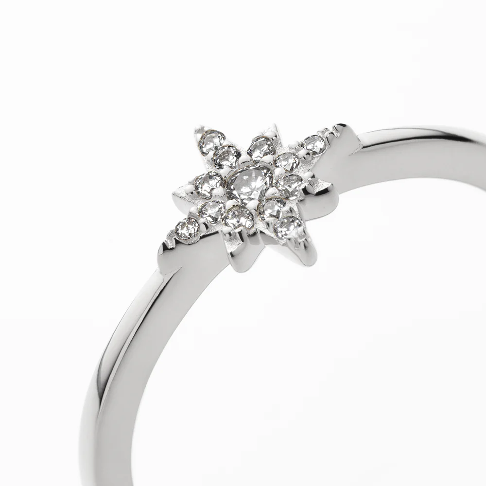 Windrose Mono Ring Silver