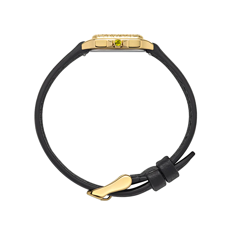 Petite Tortue black & gold