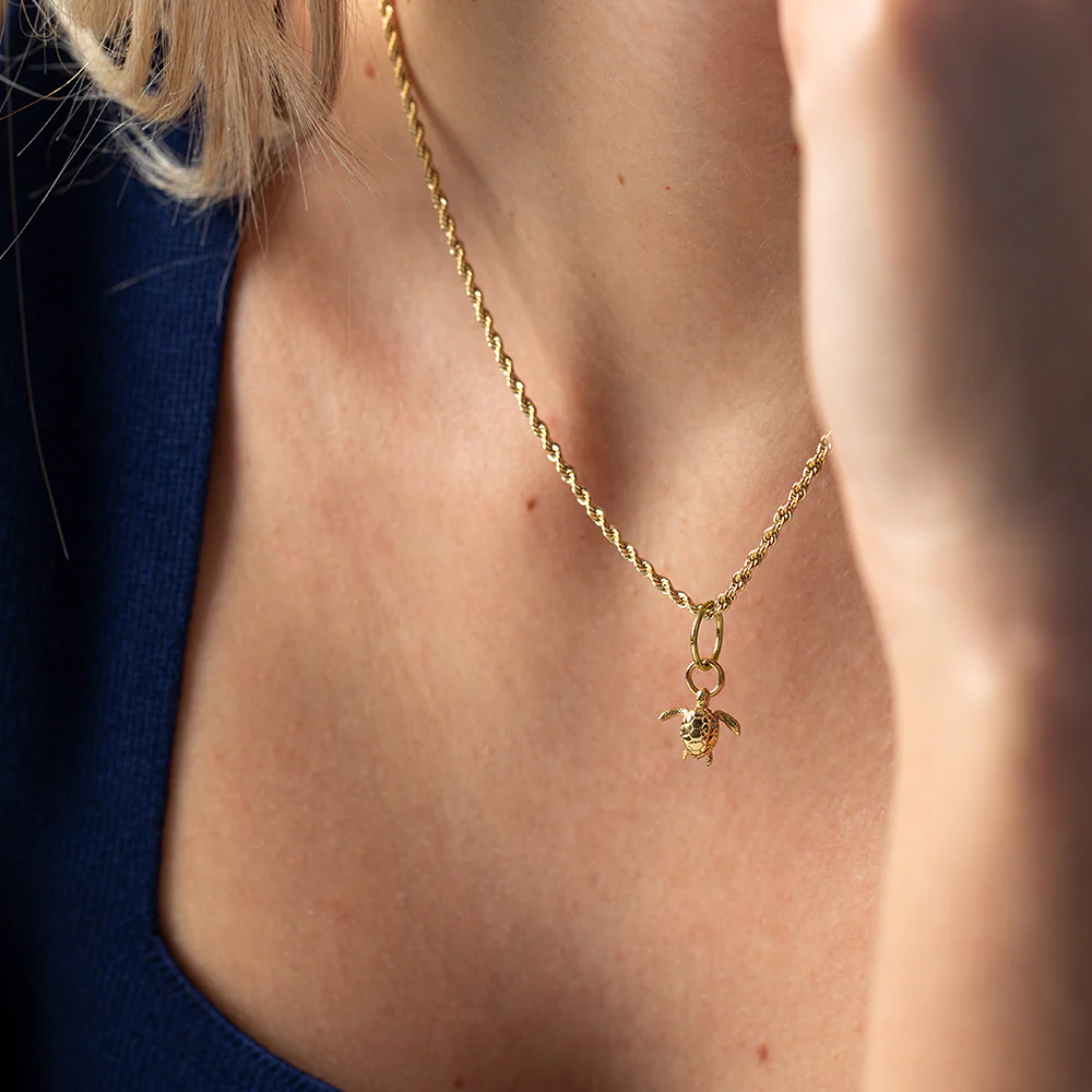Set Turtle Charm and Necklace Gold